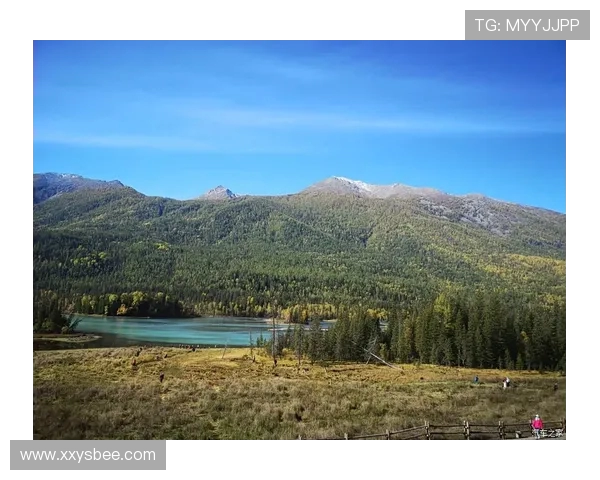 火箭申京内线技术进化过程